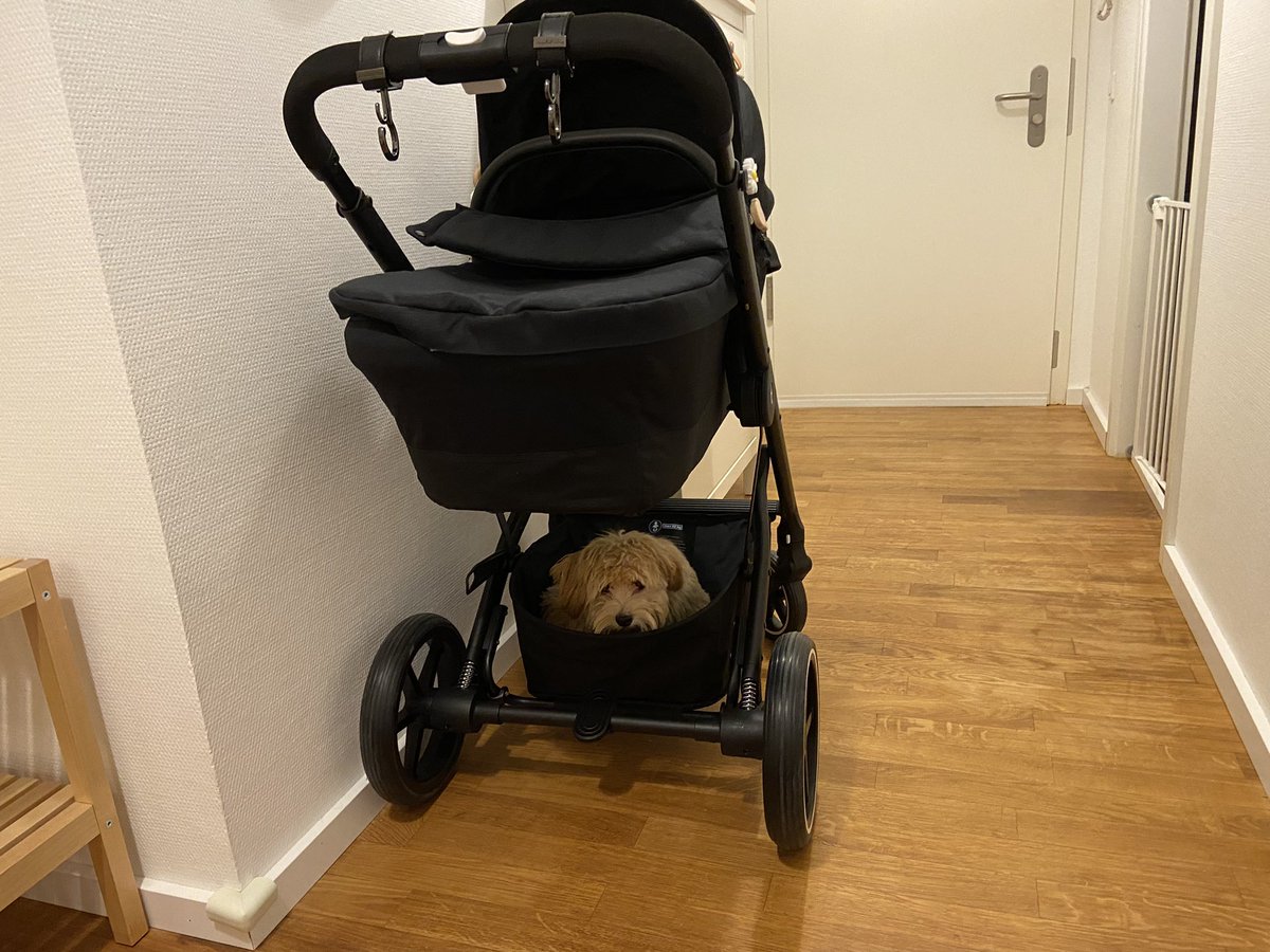 The upper portion is for the baby?  Okay then I can accept the lower portion.  Let’s go.