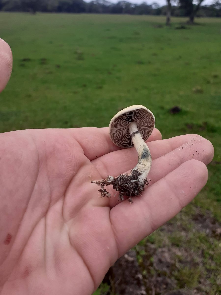 HeavyUser4's tweet image. 👽