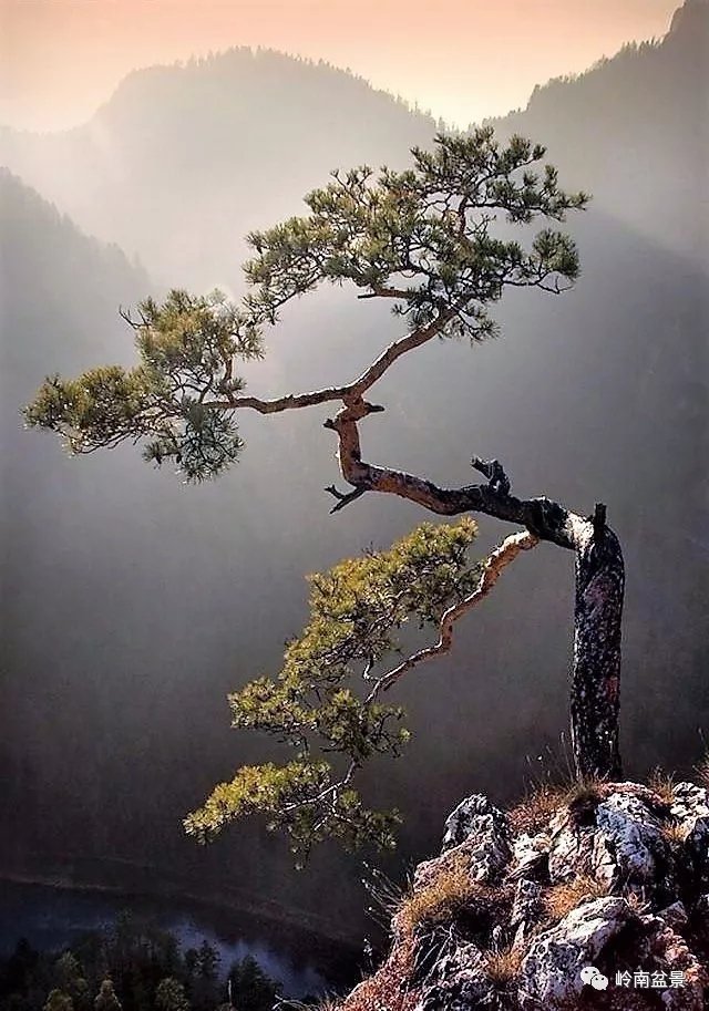 lyh61888 (@lyh61888) on Twitter photo 