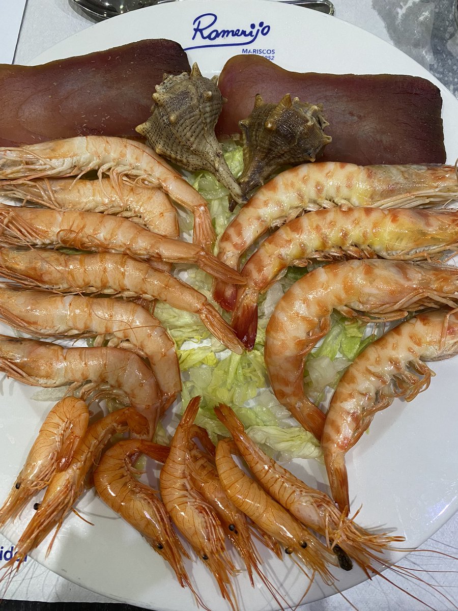 travel_thelife's tweet photo. Cena de marisco y pescado fresco en @romerijo_puerto Habéis venido alguna vez a este lugar? Nosotros ya varias veces y siempre genial. La última cena del #ForumElPuerto ha estado de 10. Gracias @atomarpormundo y @TurismoElPuerto y @ElPuerto por estos días y experiencias! https://t.co/W10XQCUxyo