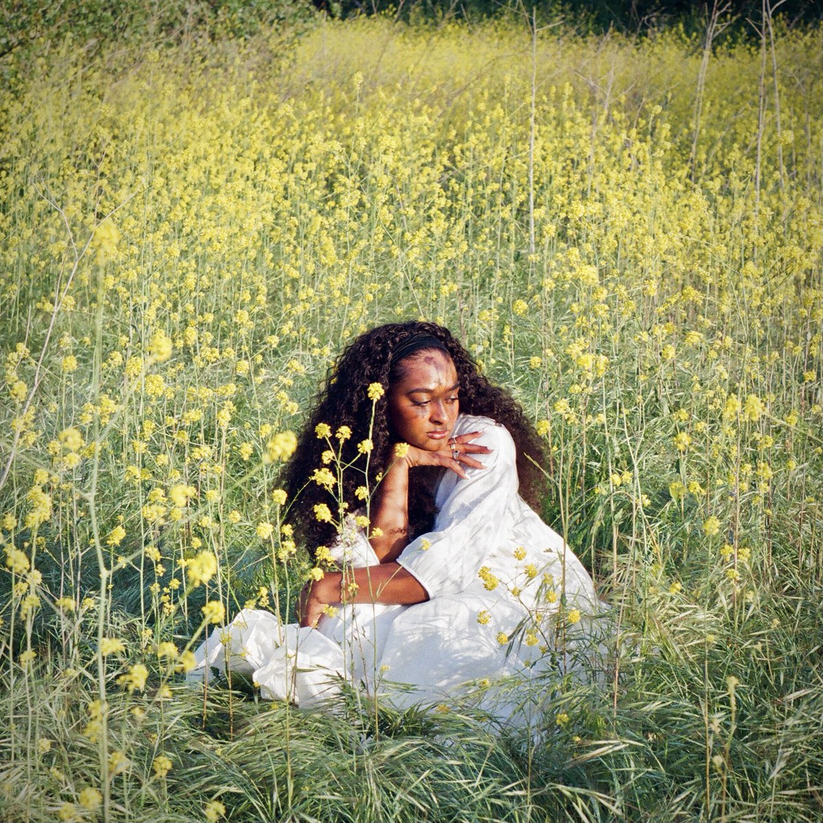 lexdexx's tweet photo. ✨OUT NOW✨ in my dreams 💞 
https://t.co/4uVRo1ufzD https://t.co/asFyB1PqWS