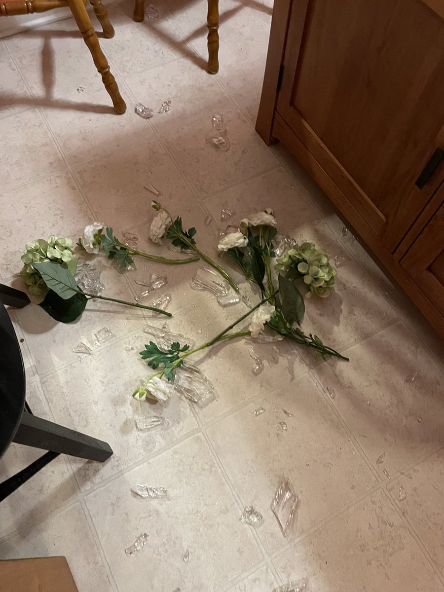 DanielSTigerFip's tweet photo. Dad looked us over to make sure Catie and I weren’t hurt but boy is he mad! He bought mom a crystal vase from Germany. #ImSorryAgain #play #bestfriends #whoopsie #cat #CatsOnTwitter #CatsOfTwitter #foryou #FYP #OhNo #accident #mybad https://t.co/OqLxb9gBve