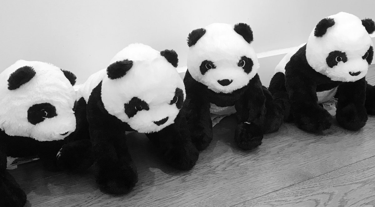 Alex Panda tweet media