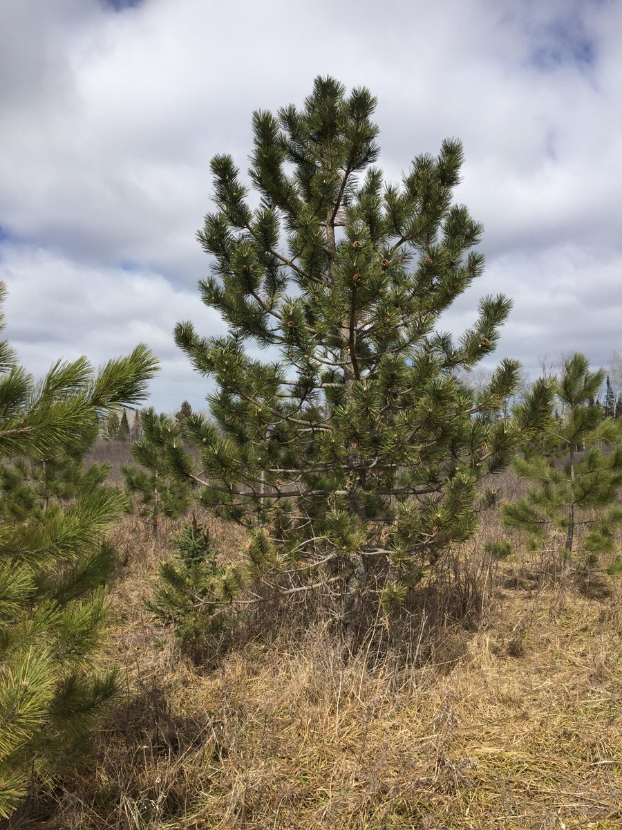 AfterLetters's tweet image. 