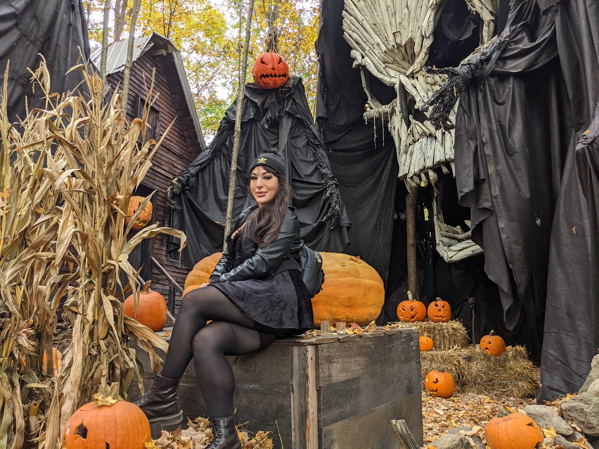 State_Hospital's tweet photo. ππ»πΈοΈ#HauntedOverload #HappyHalloween β¨ https://t.co/izlFaJwQeg