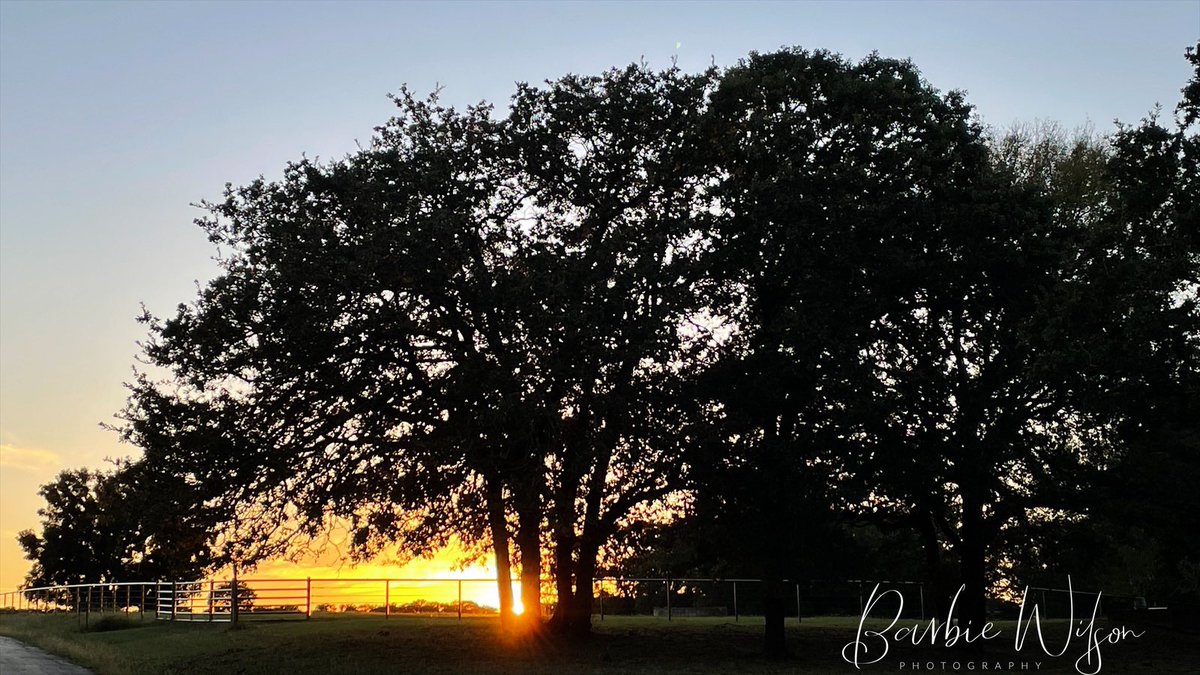 barbiedoll_eyw's tweet photo. A special treat! #sunset ! #glenrose #texas #tentriplexranch https://t.co/0Ka7hW5AbO