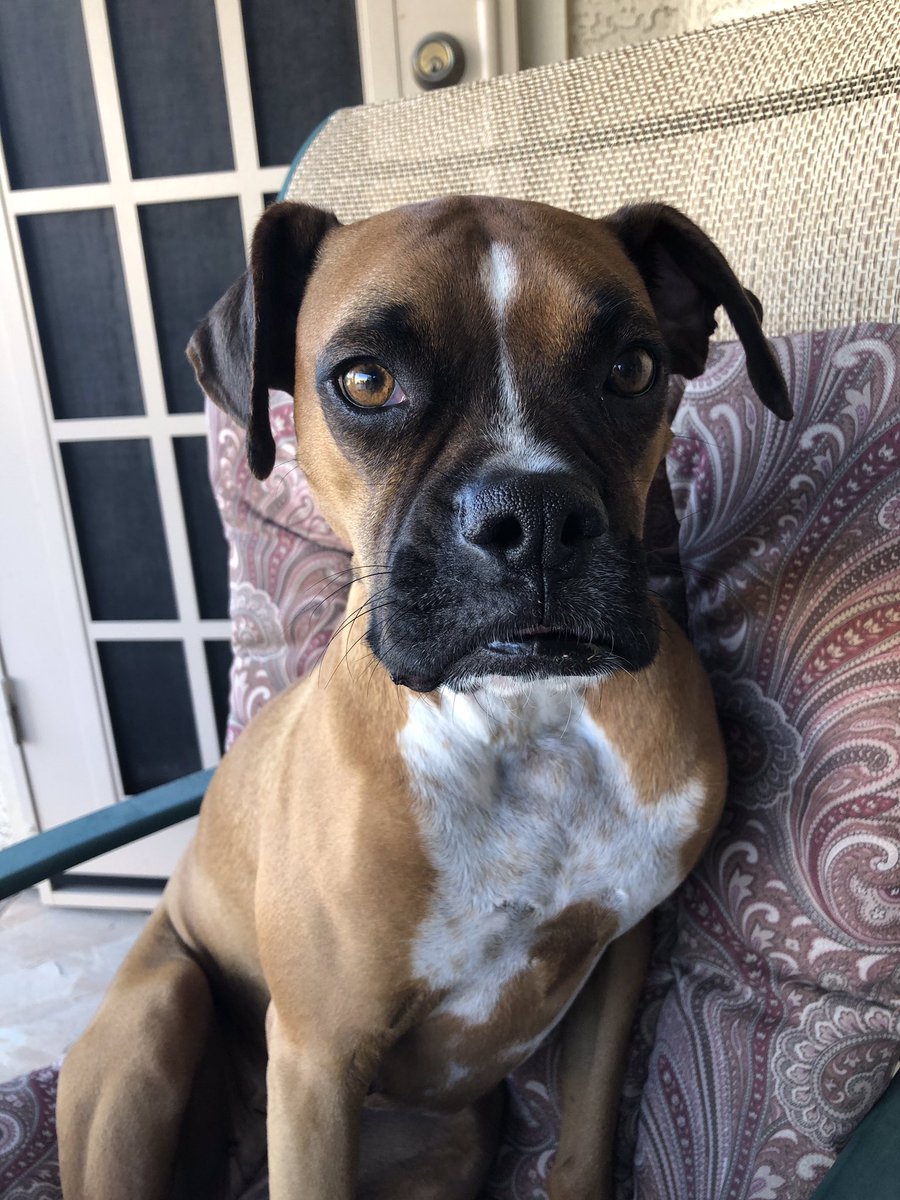 brianmc_arch's tweet photo. @JaniceDean #QueenRuby https://t.co/SIRpF1rquH