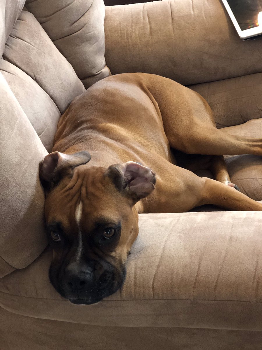 brianmc_arch's tweet photo. @JaniceDean #QueenRuby https://t.co/SIRpF1rquH