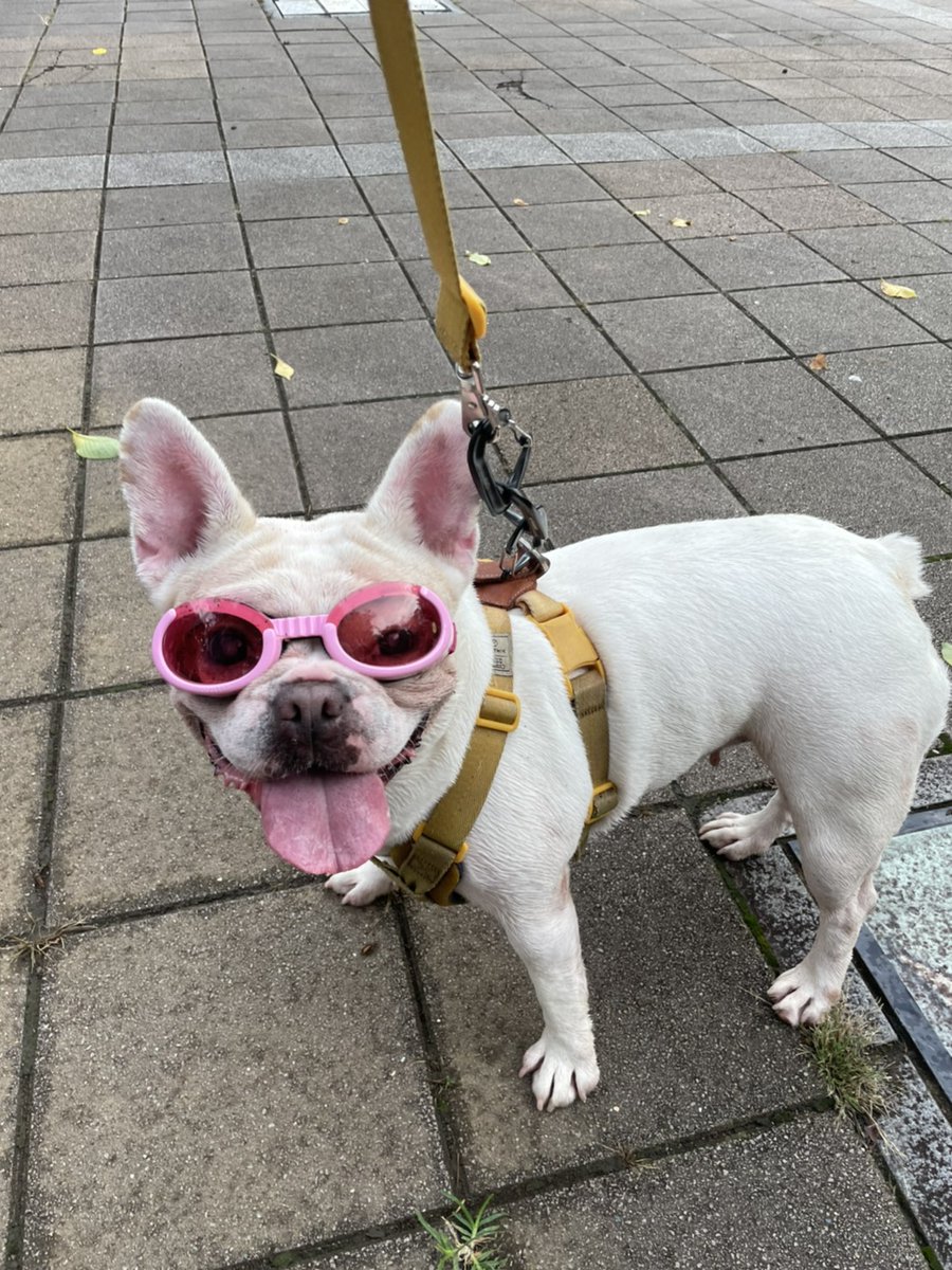 山田武士 tweet media