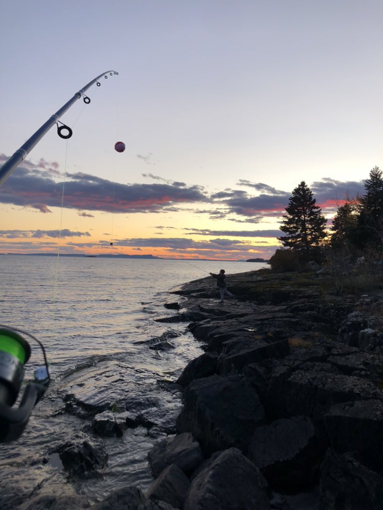 ViceStatix's tweet image. 😍🎣