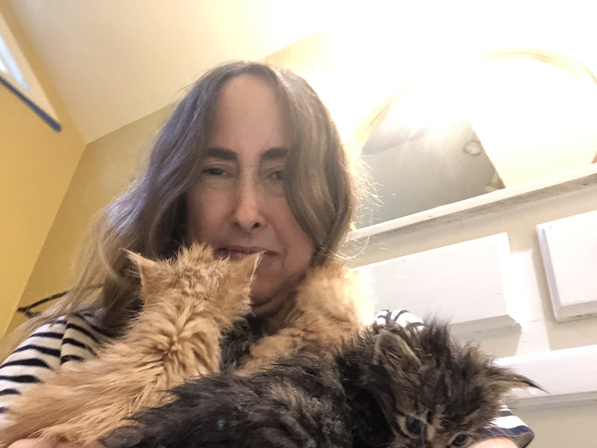 castroreads's tweet photo. Happy #Caturday from my latest #FOSTER #kittens #FostersSaveLives https://t.co/lA7HVyFeII