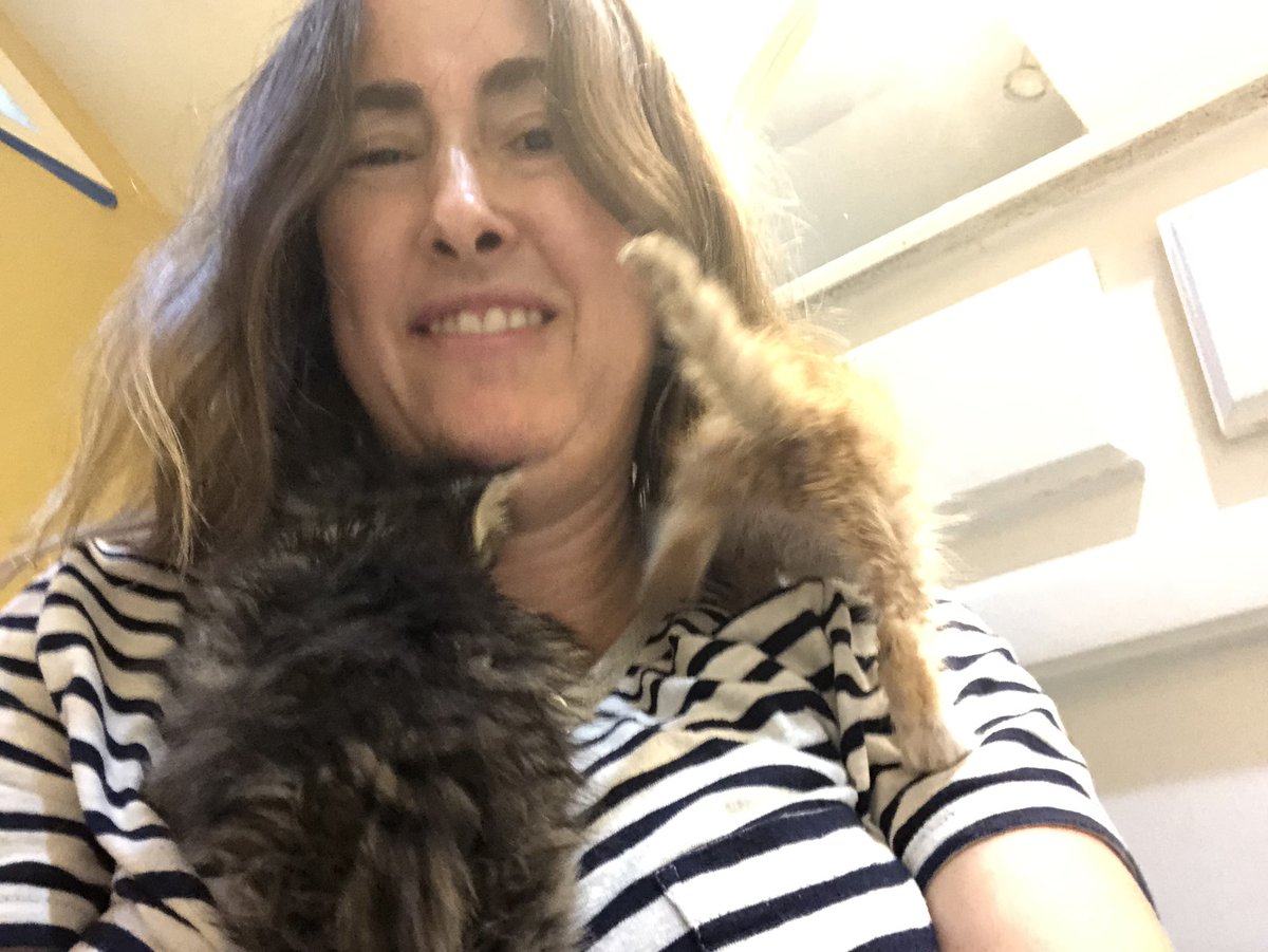 castroreads's tweet photo. Happy #Caturday from my latest #FOSTER #kittens #FostersSaveLives https://t.co/lA7HVyFeII