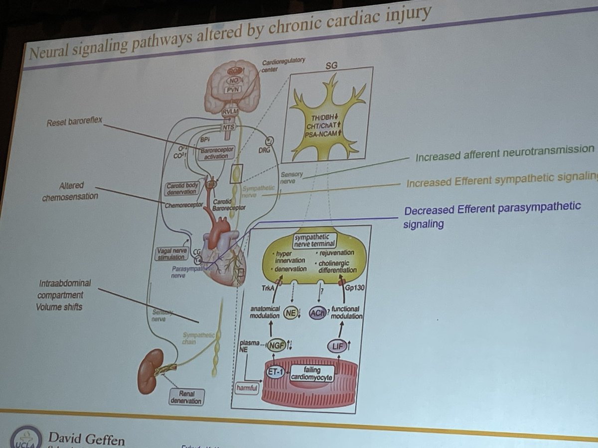 Epic Day 1 of Contemporary concepts in EP devices directed by @JagSinghMD. Thought provoking talks by Dr. Ajijola @UCLAHealth and other faculty @Dr_Mike_Fradley @rhythmkeys @SurajKapa @AbbottCardio