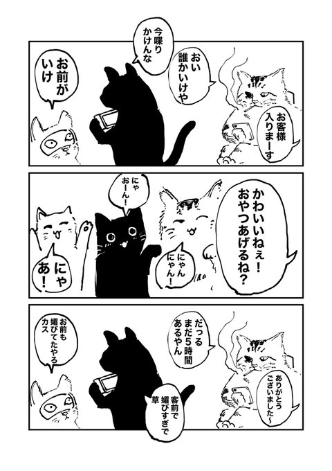 猫カフェ 