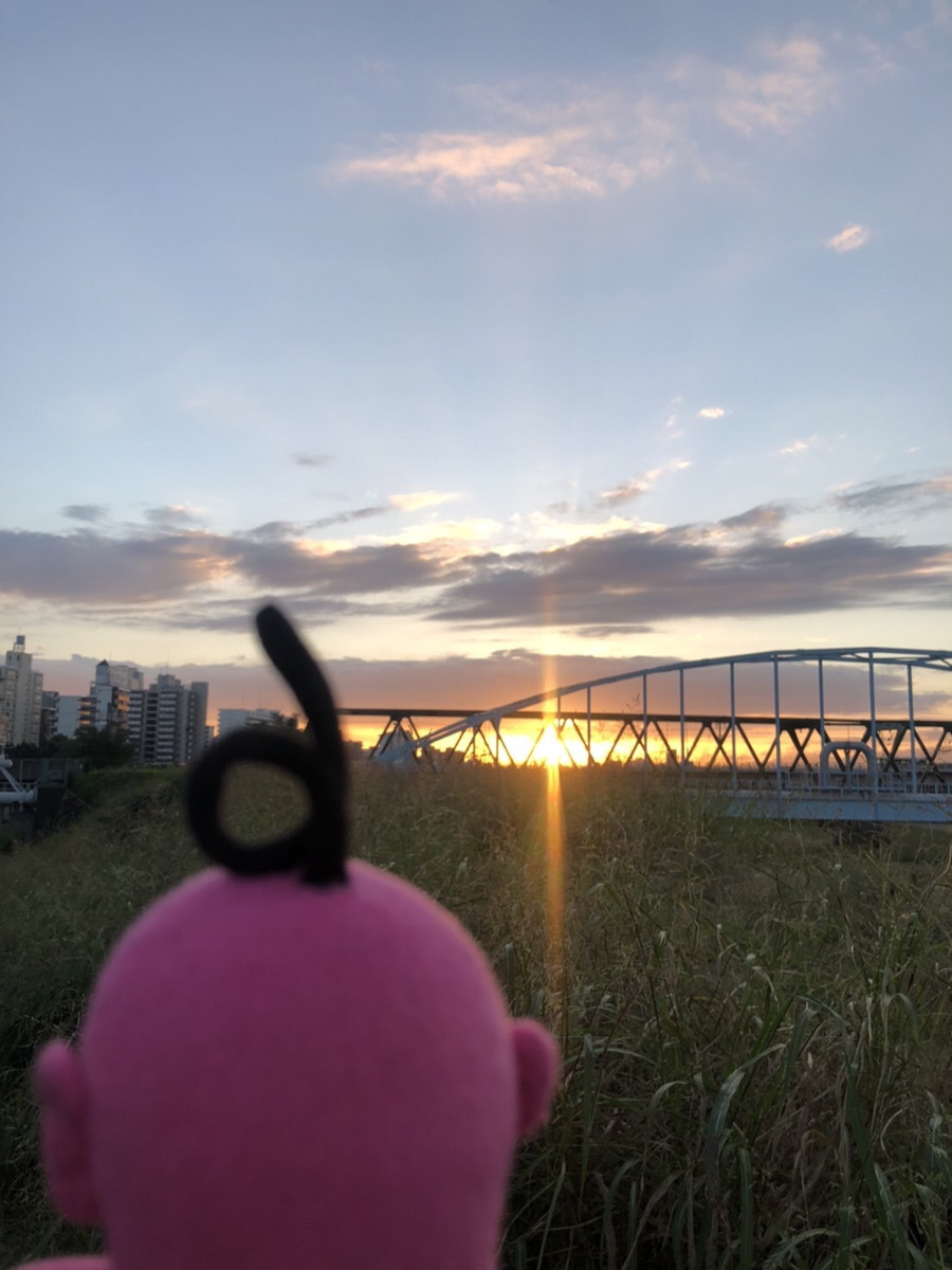 abciee's tweet photo. 夕暮れがとってもキレイだシ～ε(´艸｀*)3

夜になるのが早くなって
すっかり秋だシ！！

#エビシー #夕暮れ #秋を感じる６歳 https://t.co/OT25wZiPU1