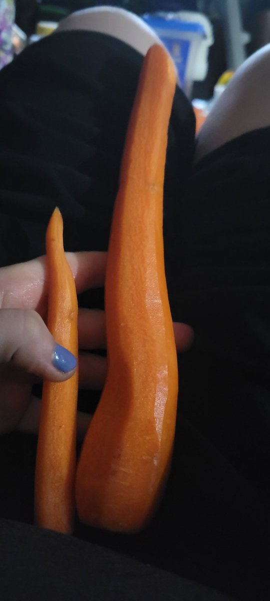 These carrots totally remind me of the contrast between your puny dicks and my alphas big cock lol.