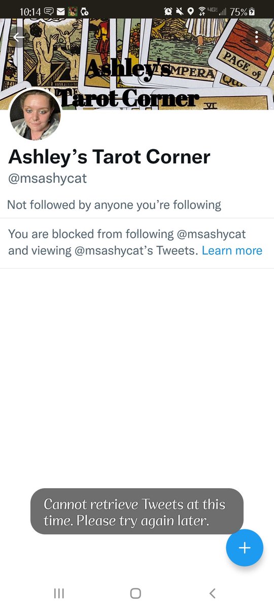 _cat_slap_duh_ tweet media