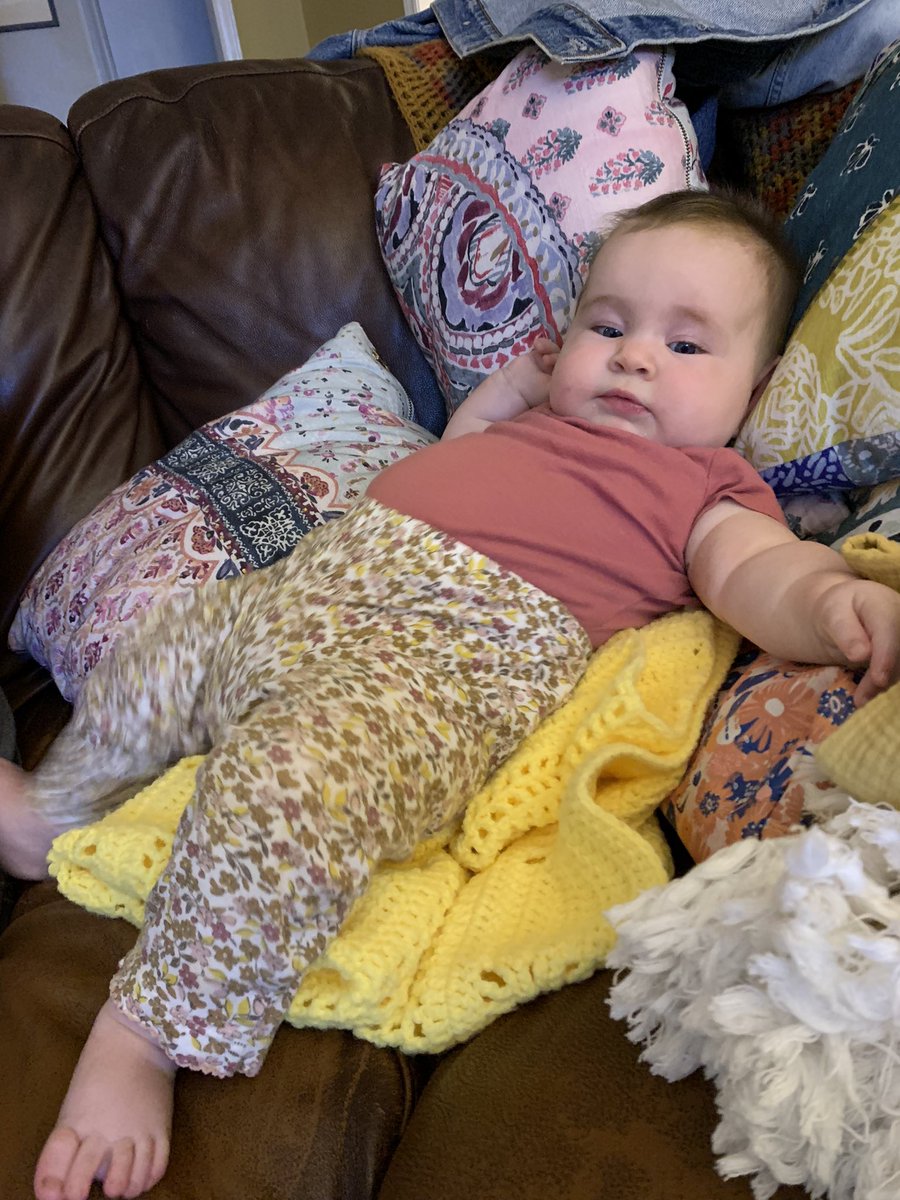 polly darton tweet media