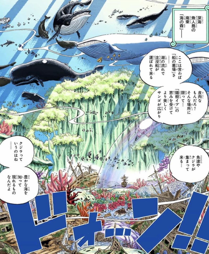 Salty Dog クジラ グランドラインの入り口からずっと クジラ がキーワードとして出続けてる そして ネプチューンくらいの大型人魚しかクジラと会話出来ないはずが 普通に話してるルフィ 考察 Onepiece ワンピース 謎解き マンガ ジャンプ