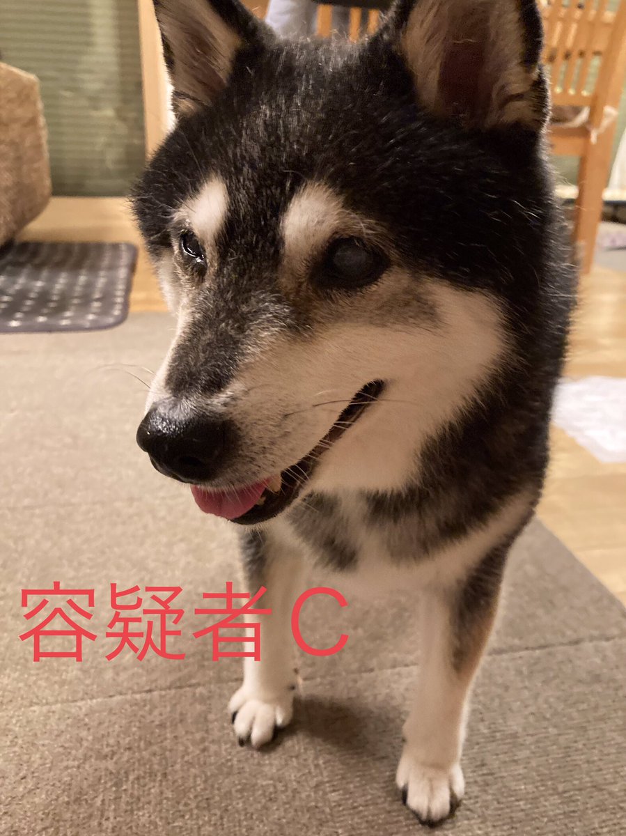 おじいちゃん Nwqy4y627os5a7h Twitter