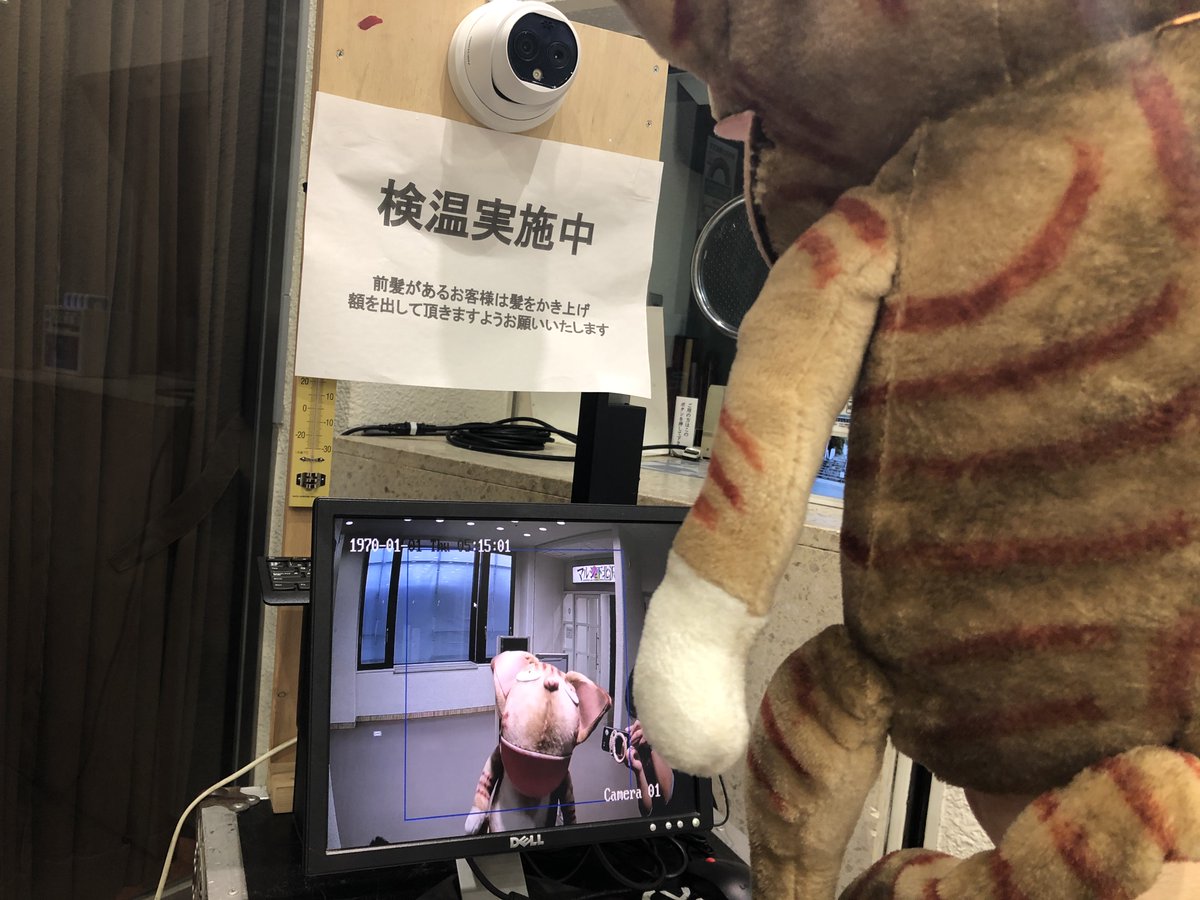 MusicalHOPE2021's tweet photo. ミーちゃんも最後の出演に向けて準備万端💪🏻
検温して、発声して🎵、客席から舞台をチェックして…👀
でも飼い主さんと一緒にいる時が、一番幸せそうですね🐈🐈

#ミュージカルHOPE
#開演まであと1時間00分
#おうちでHOPE 
#染谷洸太 https://t.co/pTlfa1BIeM