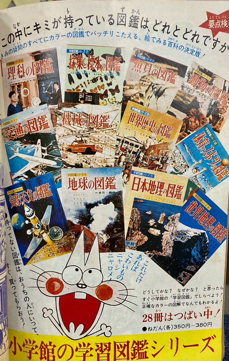 おうちの人にいって、すぐ、買ってもらおう! 