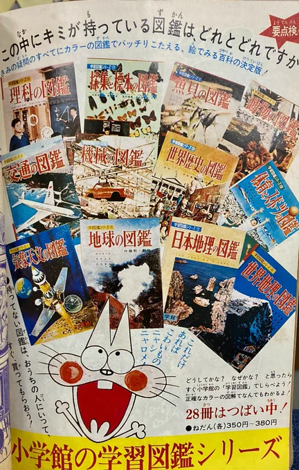 おうちの人にいって、すぐ、買ってもらおう! 