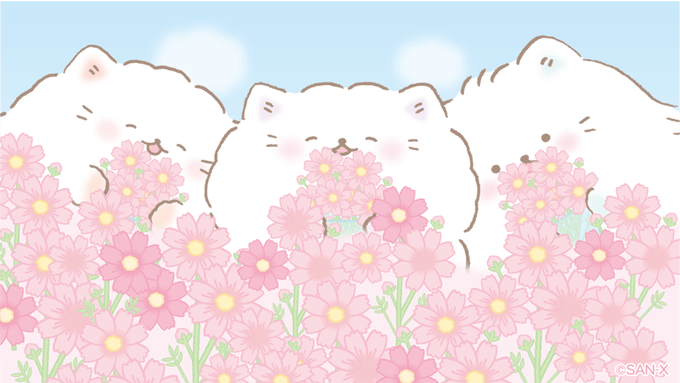 あげるにゃ〜🌸✨
いつもありがとう✨
#コスモス 