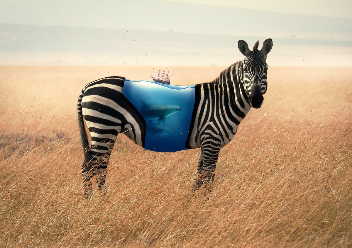 collect this piece..
#NFTBOOKS #nftart #NFTGiveaways
 #NFTCommunity #nftcollector #NFTs