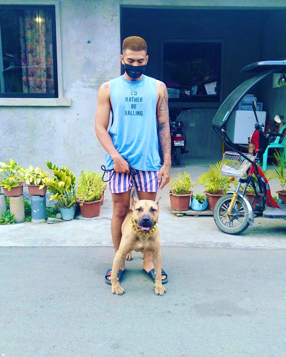 RoughTop69's tweet photo. Morning walk with my dog https://t.co/TefqFotJvi