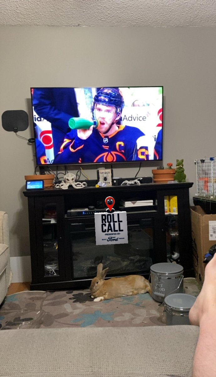 oilerboy127's tweet photo. #oilers roll call. Me and the rabbit enjoying the game. https://t.co/RT4RIbyEol