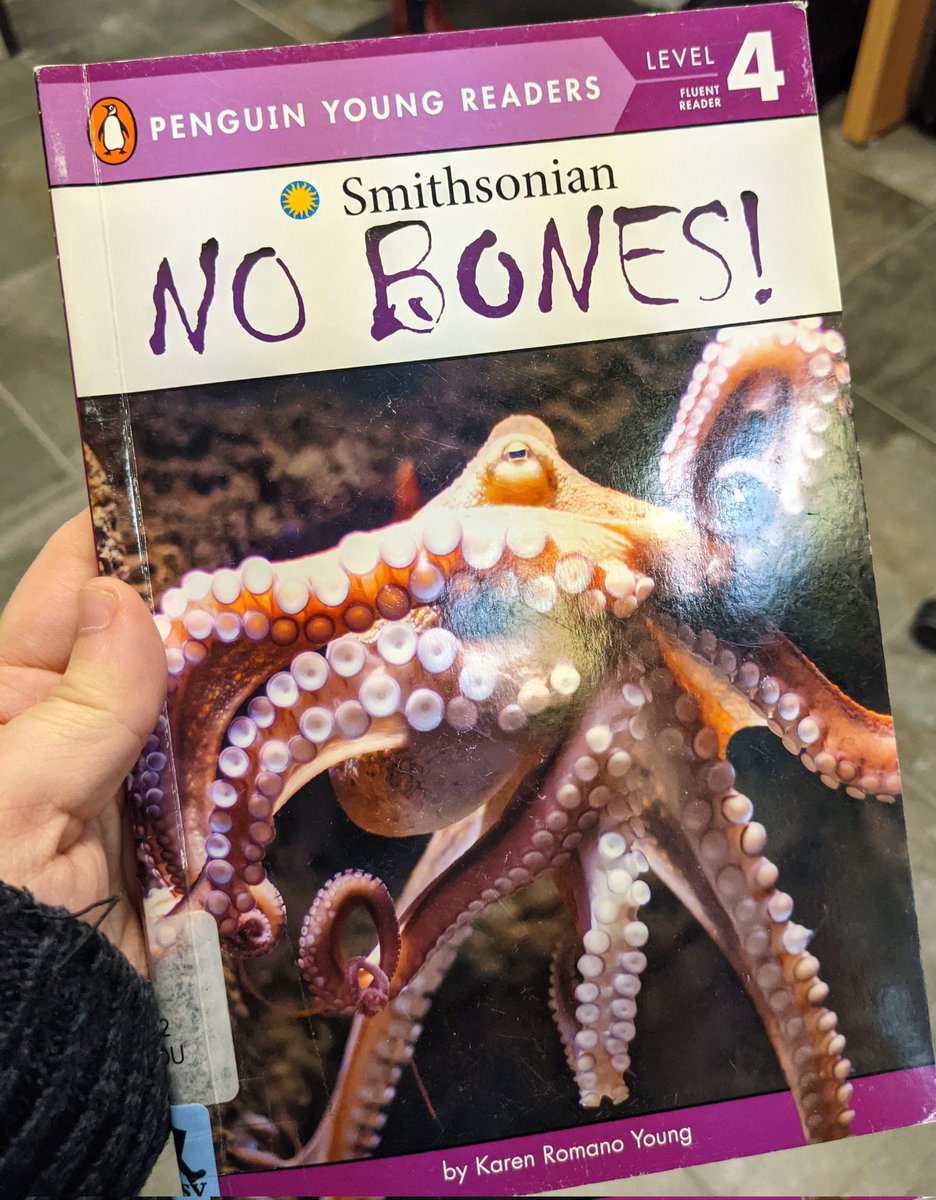 n8hynes's tweet image. Guys I think it&apos;s a no bones day here at the library.