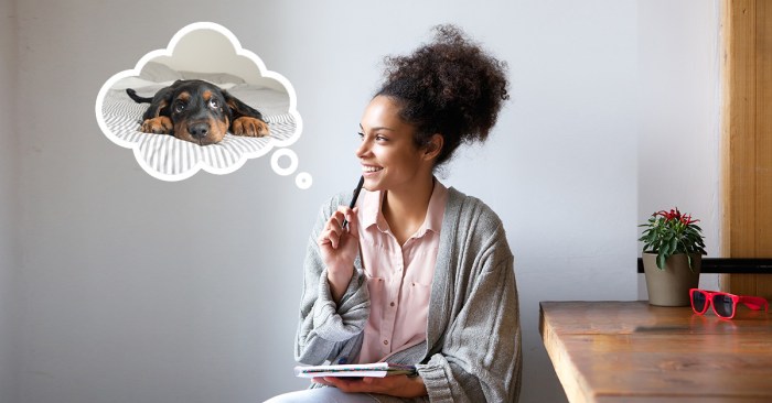 coffeeandpuppy's tweet image. Before You Bring Your Puppy Home cfpp.co/ZWaWnAW2 #CoffeePuppy #CookingForDogs #DogChef #PetChef #อาหารสุนัข #อาหารน้องหมา