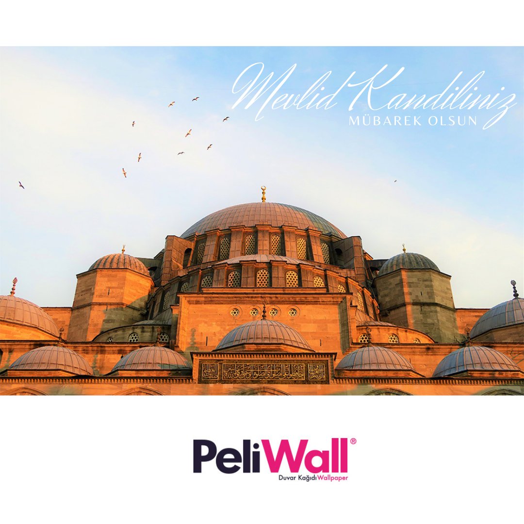 Mevlid kandiliniz mübarek olsun...

#mevlidkandili #peli #pelitarslan #peliwall