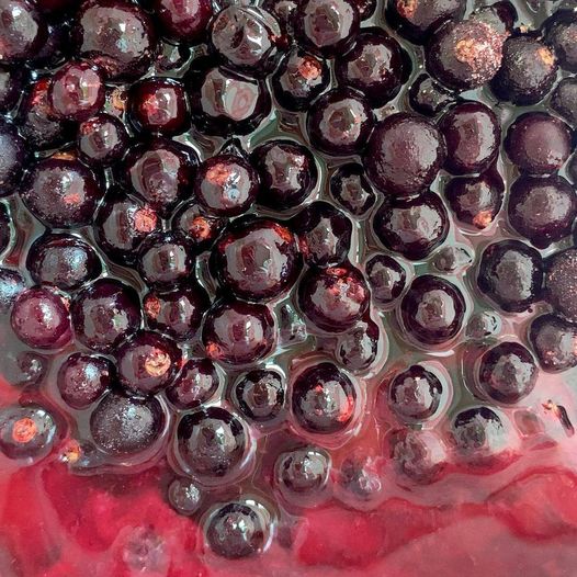 #blackcurrants are known for their delicious taste and their health benefits - as they are packed full of #antioxidants! How do you use blackcurrants?