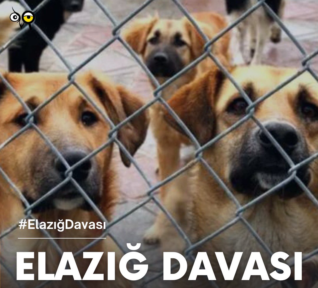#ElazığDavası ile ilgili çok soru alıyoruz. Bu flood’ta bilmeniz gereken önemli ayrıntıları ve süreci bir araya getirdik. Lütfen paylaşın ve gönüllülerin başlattığı bu mücadeleden herkesin haberdar olmasını sağlayın.