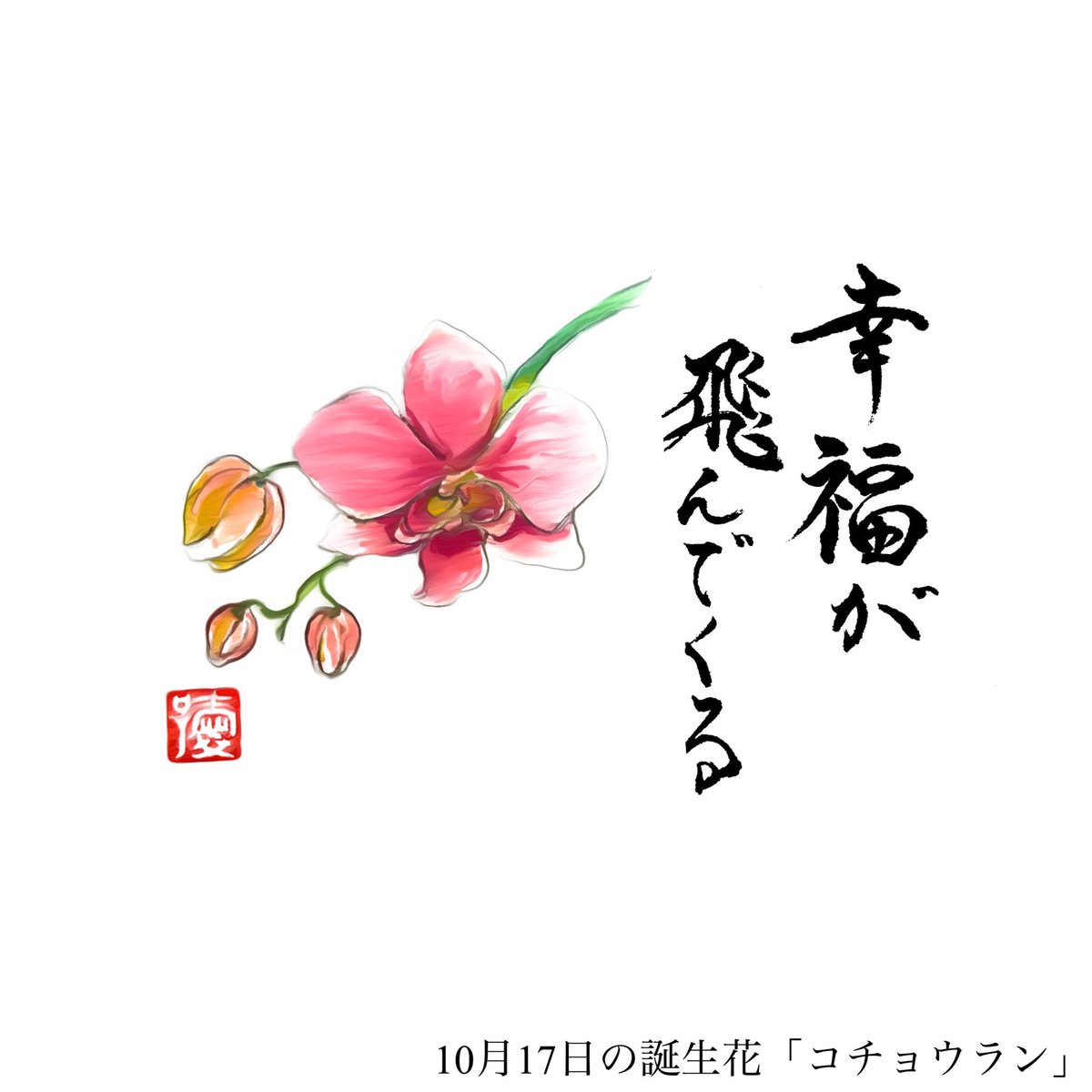 アート書家 愛子 10月17日の誕生花 コチョウラン 花言葉 幸福が飛んでくる
