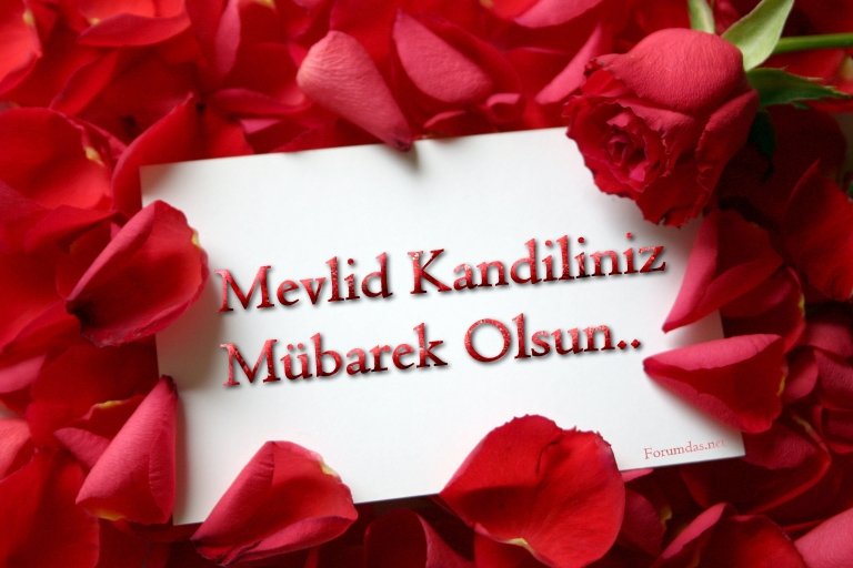 hatice0674061's tweet photo. https://t.co/Y73NWtD6ml