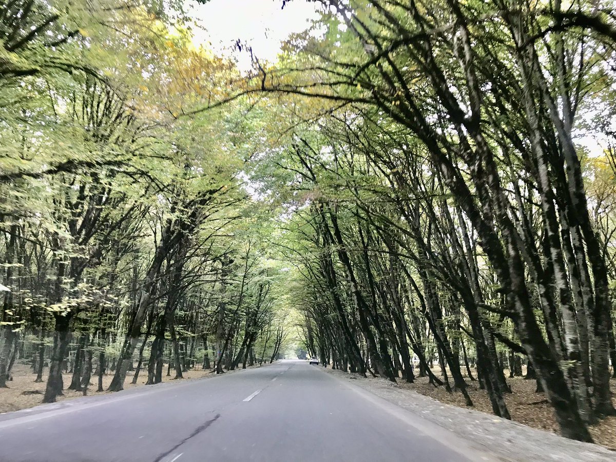 ThomasAnjaly's tweet photo. A drive from Baku to Gabala takes you through varied landscapes - barren deserts, rolling green hills, woods, lush forests. Azerbaijan has 9 out of the world’s 11 climate zones- a unique occurrence. #visitazerbaijan #nature #climatezones #gabala #Azerbaijani #climate https://t.co/ufRsoPfaQT