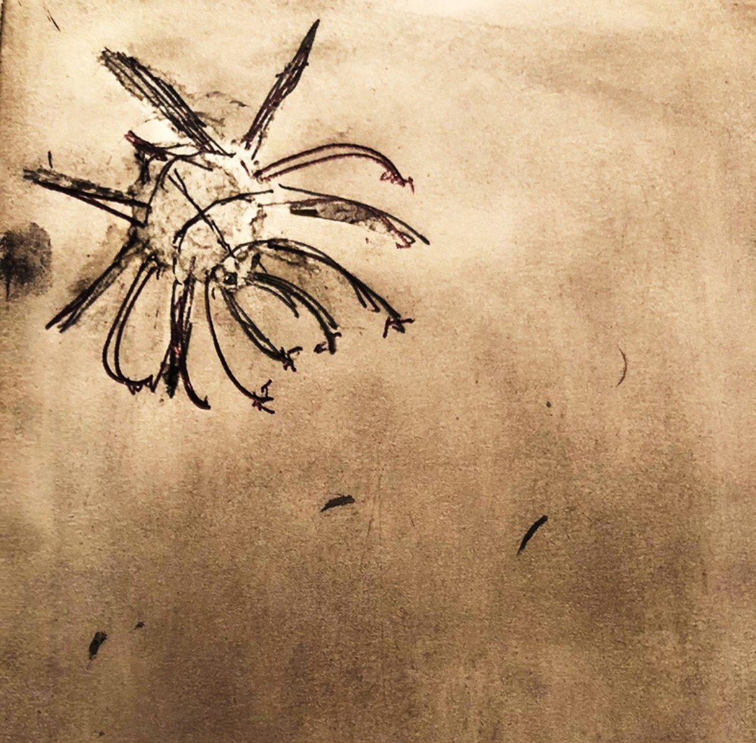 Paromita2005's tweet photo. There's a bit of insect-love/awe/ curiosity in each of us. Going down memory lane, and discovering new things @DhritiZSI
#trombidiidae #redvelvetmite #arachnid #AnimalKingdom

https://t.co/aID46EnOXq https://t.co/2Zuy8WielZ