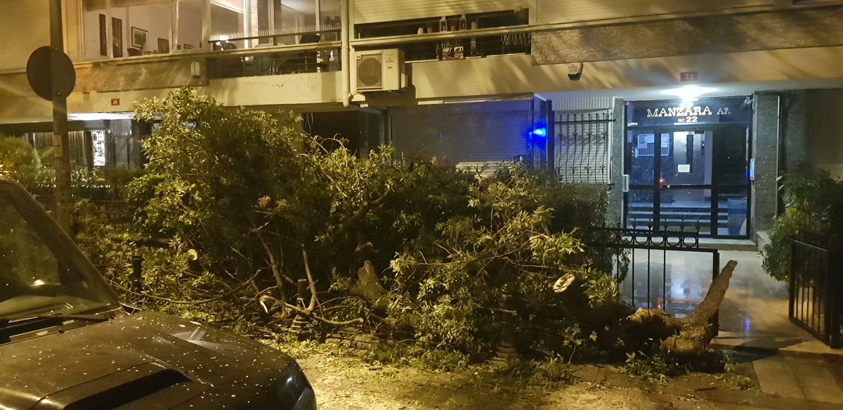 dbrnkcdrf's tweet photo. @ibbBeyazmasa  Yıllardır ihmal edilen Moda ağaçlarıni budama vakti gelmedi mi artık? Ferit Tek sokak Manzara apt önündeki asırlık ağaçlar tehlike altnda..Dün geceki yağmurda  birinin  gövdesinden  kocaman bir parça koptu. Çok yazık, çok. https://t.co/31KOrOKIpd https://t.co/XRRJ2FM3E9