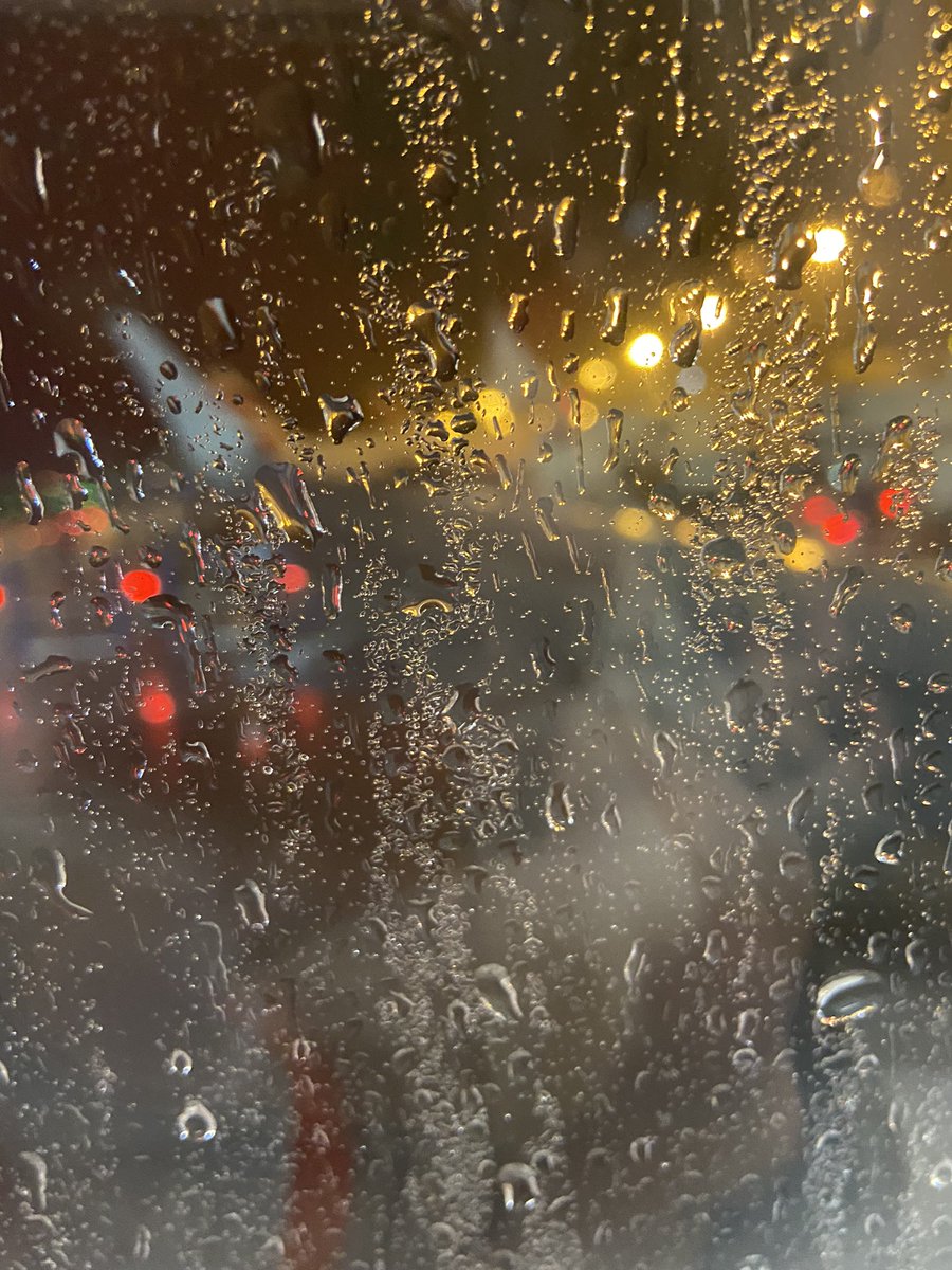 Perthshire Wild Things tweet media