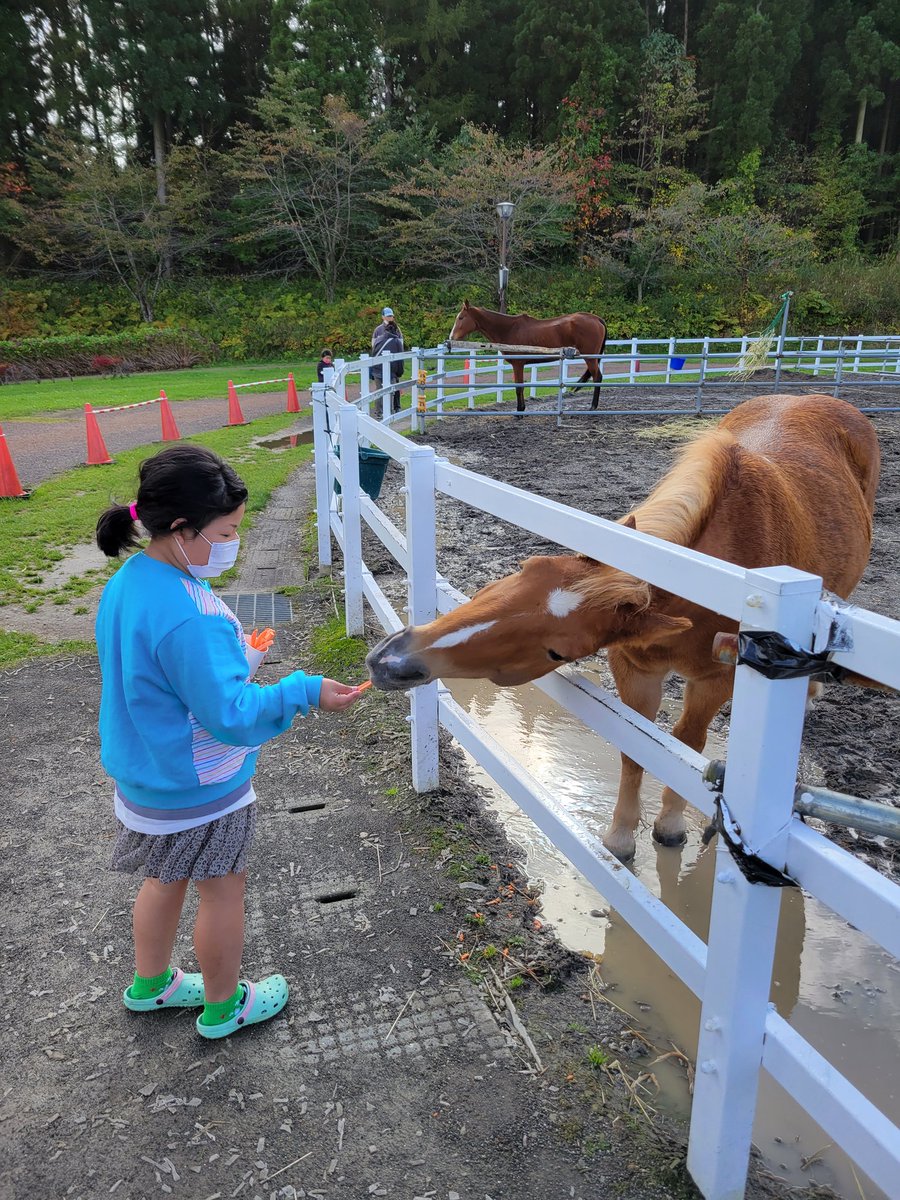daisuke12101224's tweet photo. ニンジン大好きみたい🐴

娘はビビって触れないみたい😅

#馬　#ニンジン　#娘 https://t.co/ZcqhNuaiR1