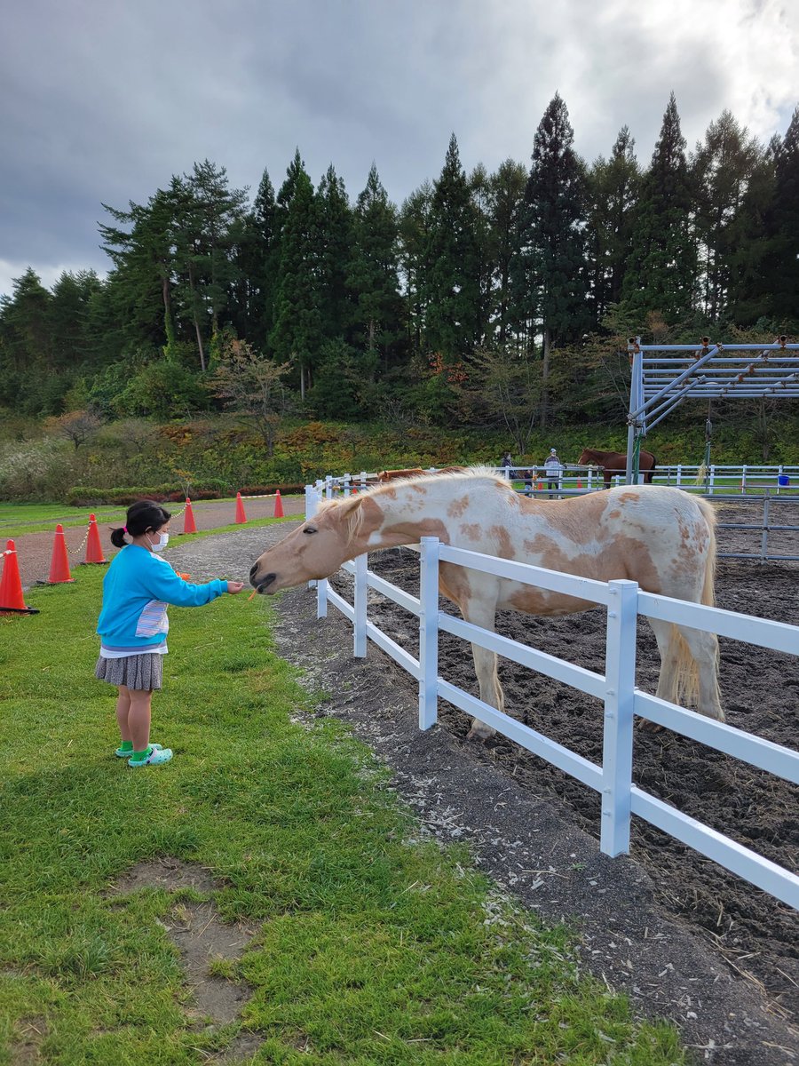 daisuke12101224's tweet photo. ニンジン大好きみたい🐴

娘はビビって触れないみたい😅

#馬　#ニンジン　#娘 https://t.co/ZcqhNuaiR1