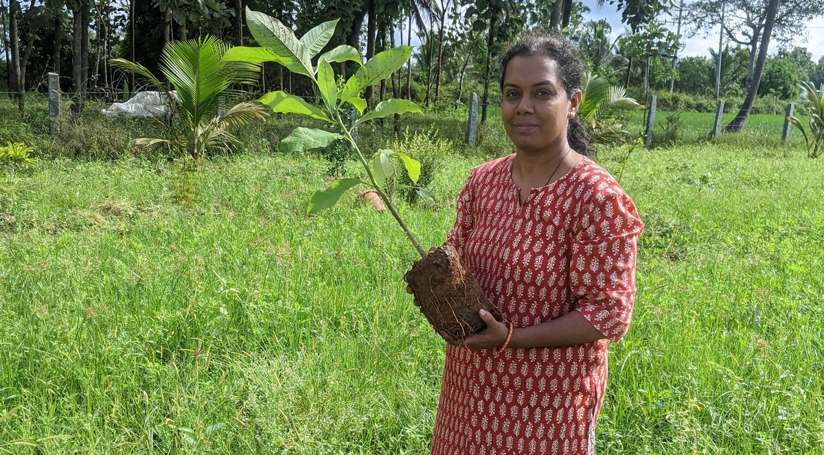 Starting a campaign to plant or take care of saplings. First one for Roabin, who talks climate change every 5mins.I plant one and give two to others and they do the same. Chain continues and Green planet. #HowILeaveThePlanetWhenIDie #COP26 #OneBillionTrees