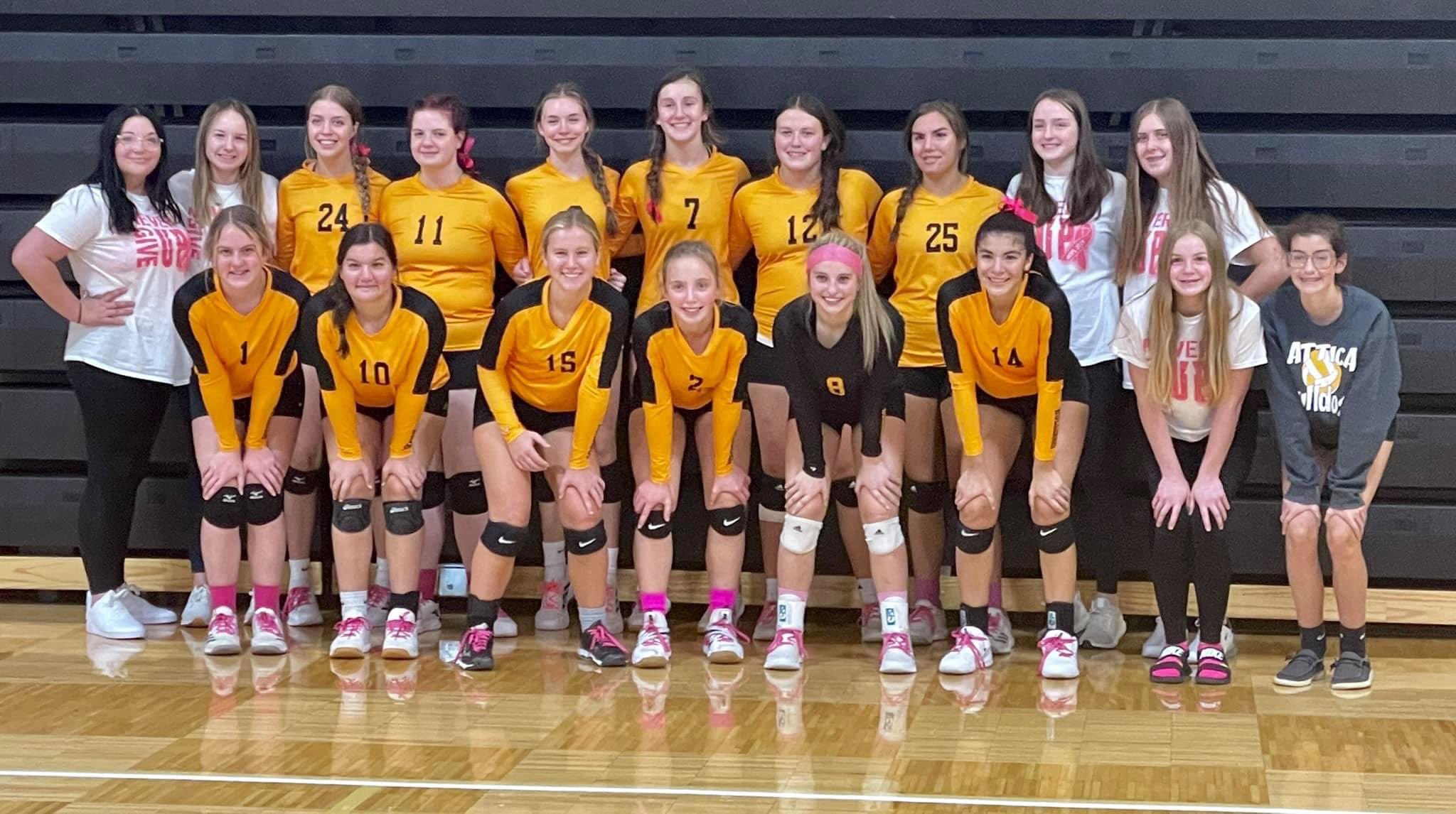 Attica Volleyball on Twitter "Lady Bulldogs take 3rd in a tough HOPL