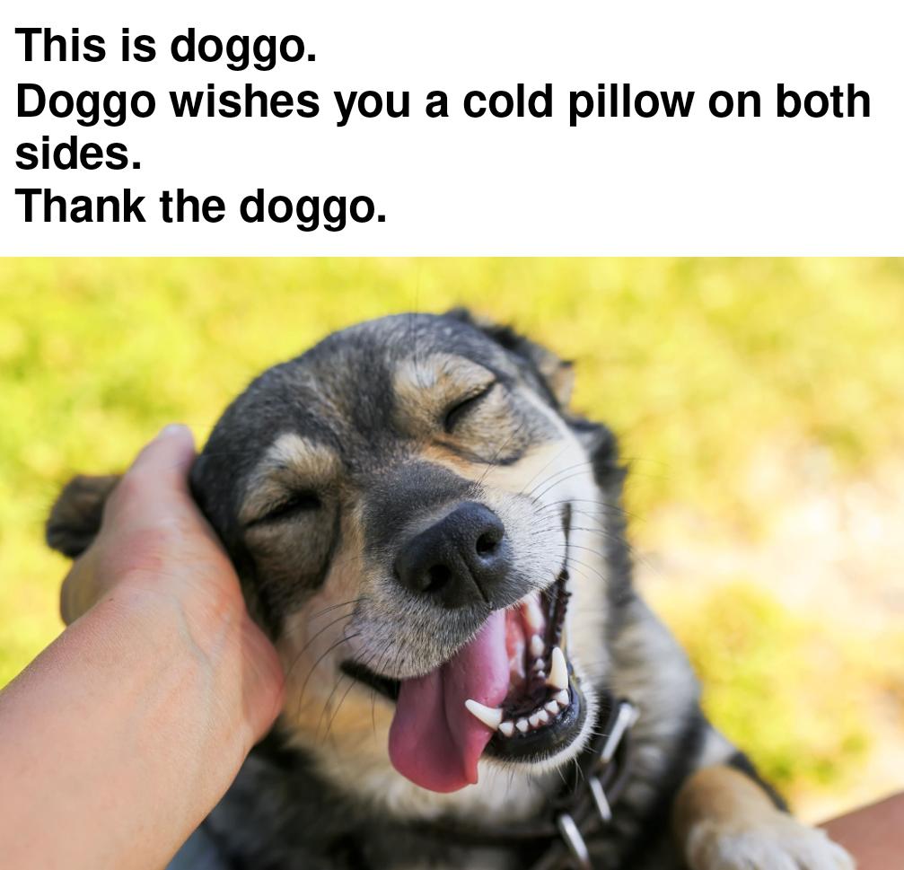 coldest pillow reddit