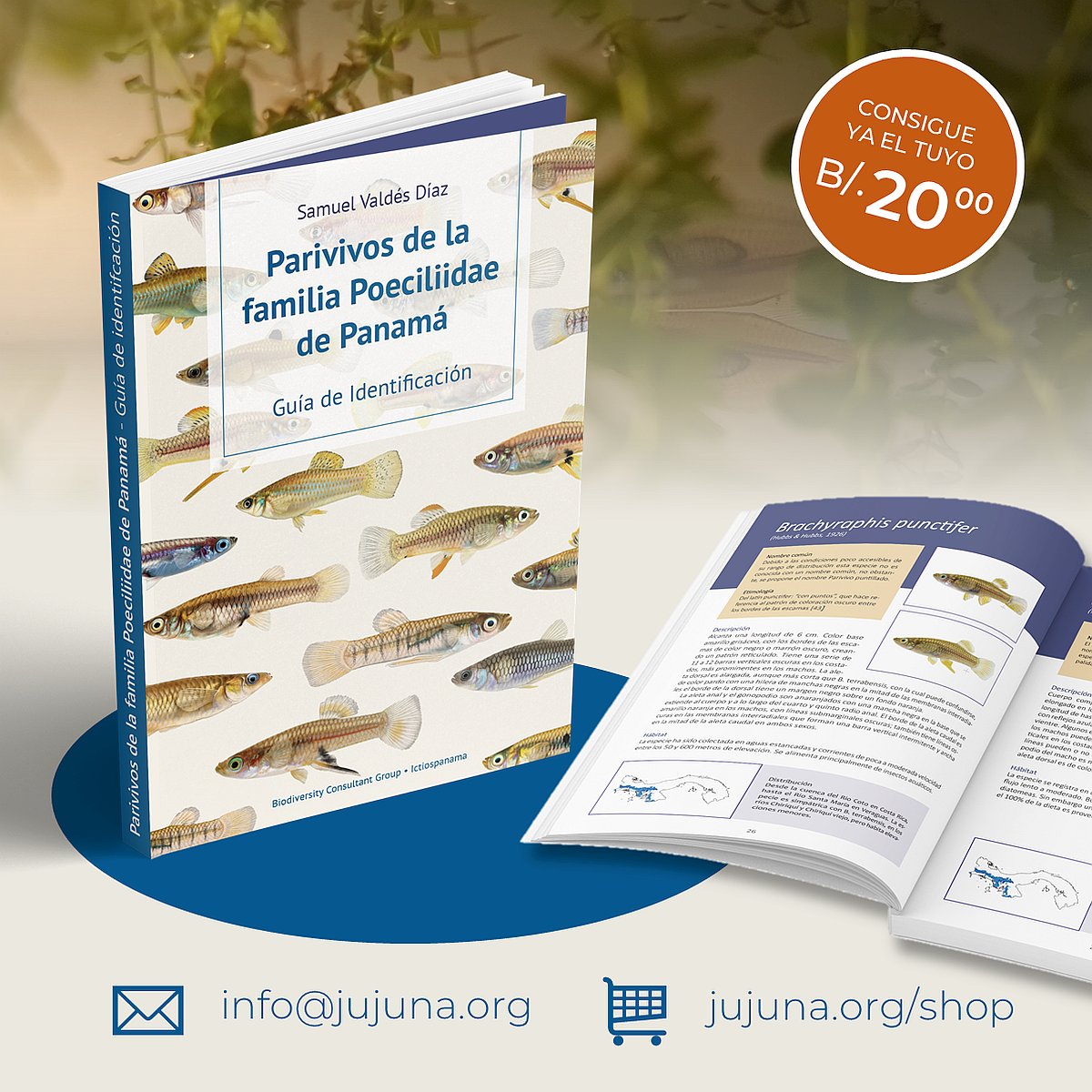 sam_valdesdiaz's tweet photo. Ya está disponible el libro Parivivos de la familia Poecilidae de Panamá. Un pequeño aporte dirigido a divulgar información sobre peces nativos de Panamá al público general y entusiastas de los peces de agua dulce. Disponible en https://t.co/gOkaGe5qJl https://t.co/4VCey3W7HN