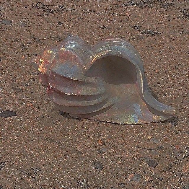 💎✨запускаю морскую цепочку

~правила:

🐚 сделать ретвит 

🐚 читать ретвитнувших

🐚 быть взаимным 

 🐚 посмотреть, какая красота за окном 

#цепочкатвиттерских
#цепочкафолловеров 
#взаимнаяподписка #взаимная #взаимный