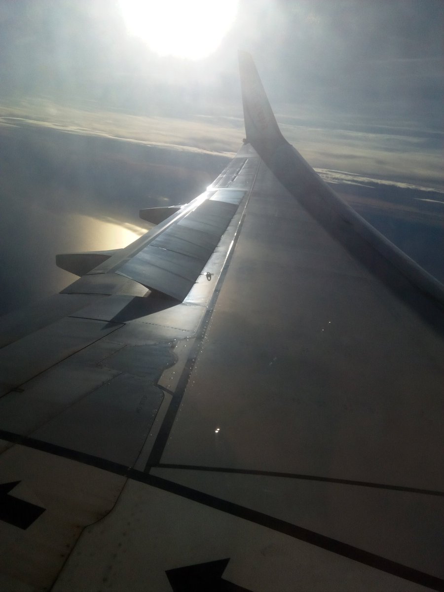 hydra_66's tweet photo. #wingsunday 😉  17 octobre 2019 https://t.co/aW4vAUE8b1